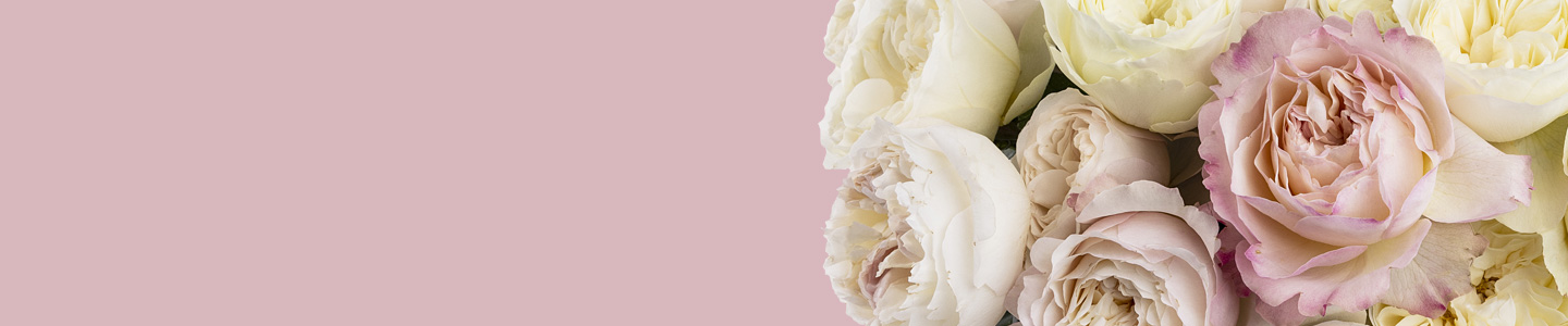 David Austin Rosen David Austin Rosen