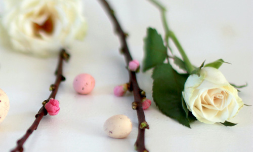 Früling ins Haus mit Rosen Frülingsrosen
