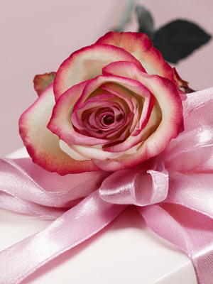 Geburtstagsrosen