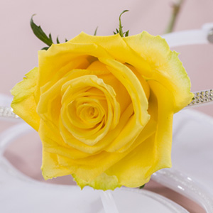 Gelbe Rosen verschicken