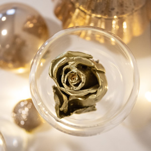 Goldfarbene Wachsrose Goldfarbene Wachsrose