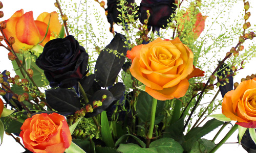 Rozen zum Halloween Rosen als Halloween-Deko