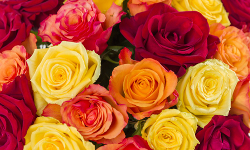 Herbststräuße Rosen im Herbst