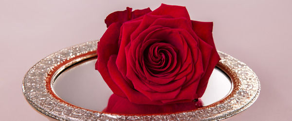 Klassische Str&auml;u&szlig;e