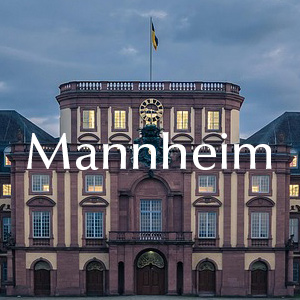 Rosen bestellen Mannheim Rosen verschicken nach Mannheim