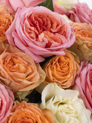 Mix-Bouquet Apricot-Rosa-Weiß