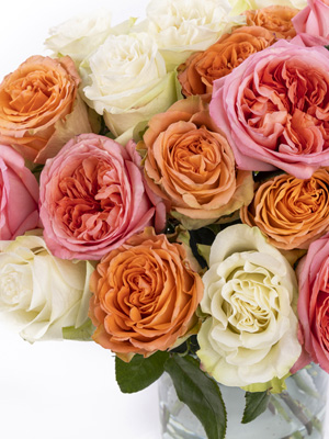 Mix-Bouquet Apricot-Rosa-Weiß Mix-Bouquet Apricot-Rosa-Weiß