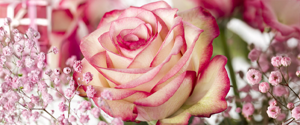 Moderne Blumenstr&auml;u&szlig;e