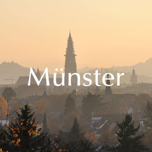 Rosenlieferung in Münster