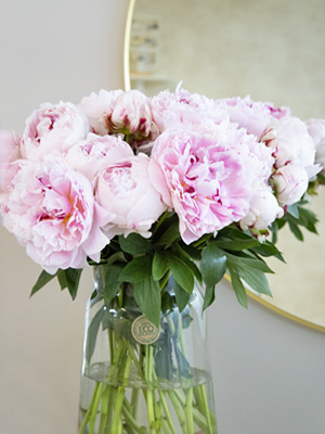 Rosen in der Vase Rosen in der Vase