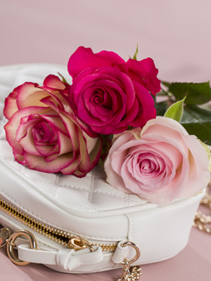 Pinke Rosen bestellen