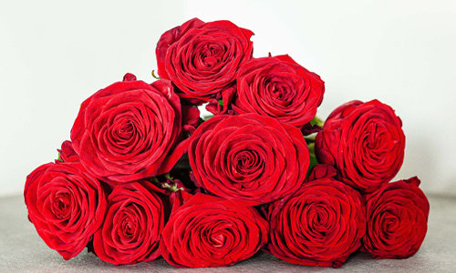 Red Naomi Rosen Red Naomi Rosen