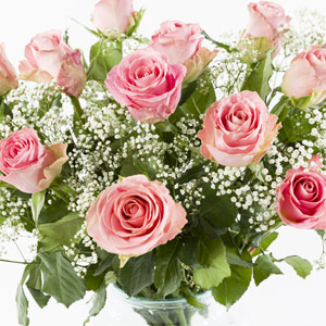 Rosa Rosen mit Schleierkraut Rosa Rosen mit Schleierkraut