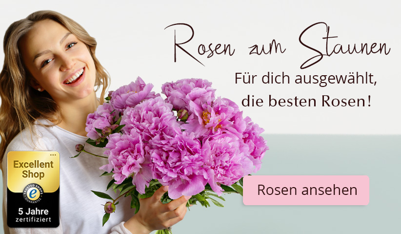 Rosen online bestellen