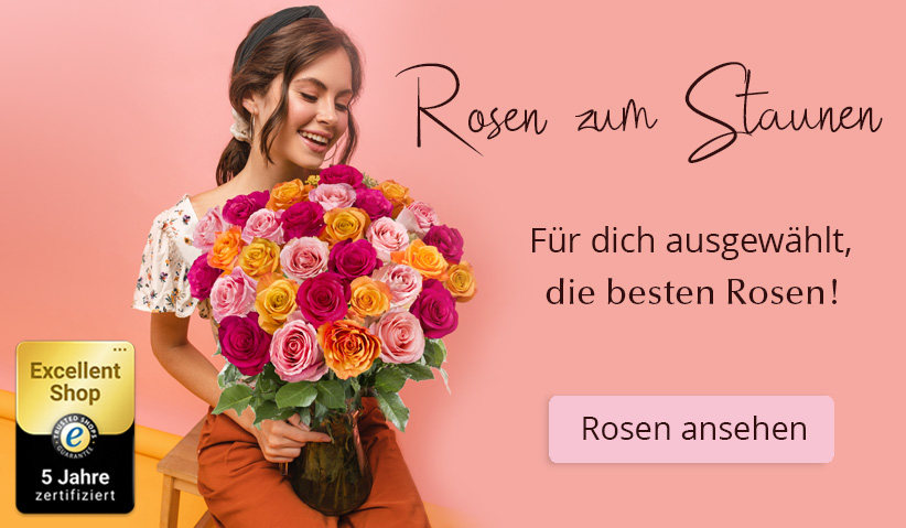 Online Rosen kaufen Rosen online bestellen