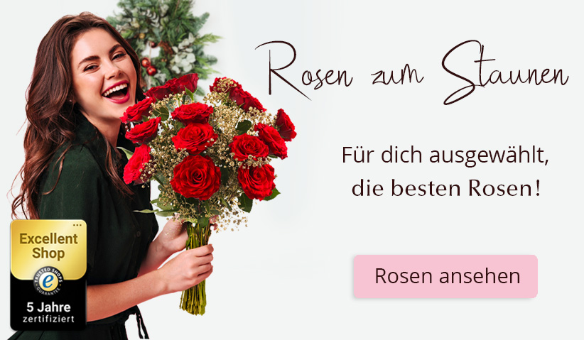 Online Rosen kaufen Rosen online bestellen