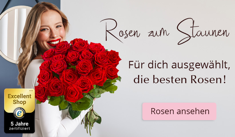 Rosen online bestellen