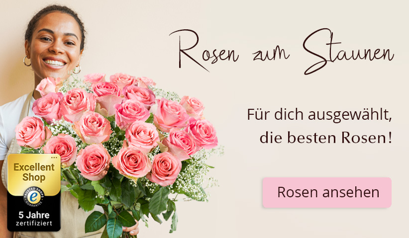 Online Rosen kaufen Rosen online bestellen