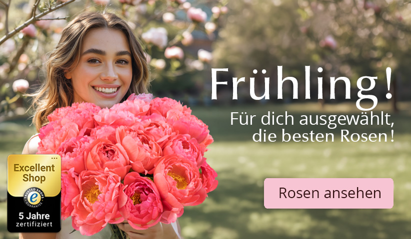 Online Rosen kaufen Rosen online bestellen