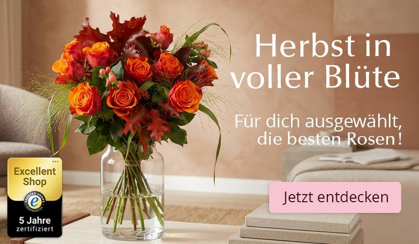 Rosen online bestellen