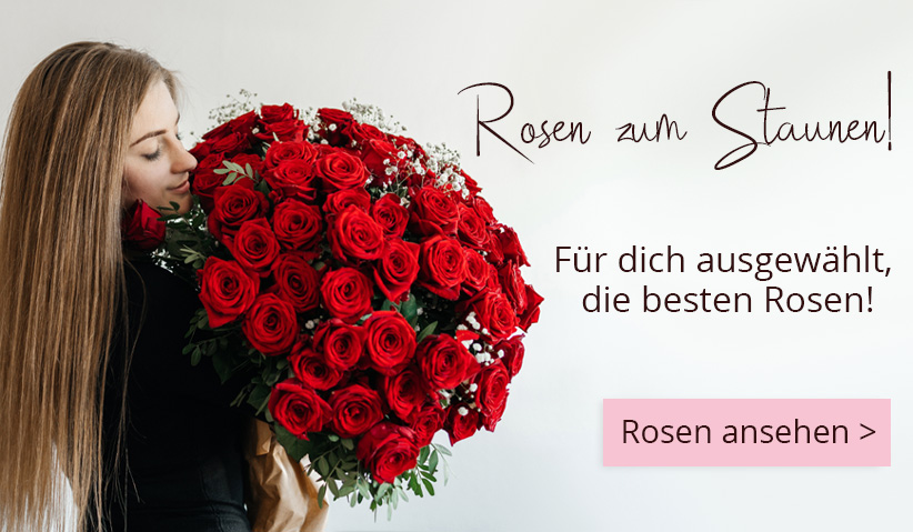 Rosen bestellen