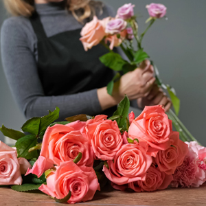 Blog: Rosenpflege