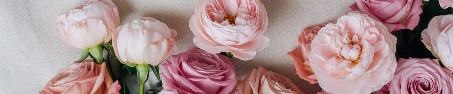 Rosen und Pfingstrosen Rosen und Pfingstrosen