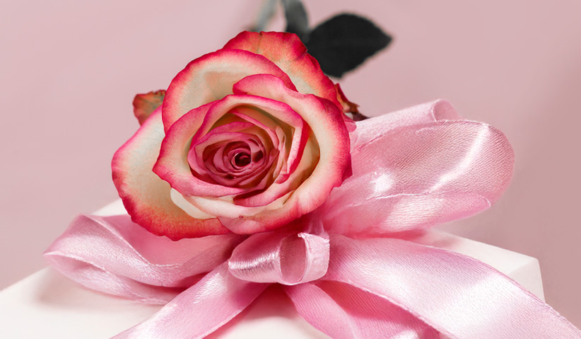 Rosen zum Geburtstag bestellen Rosen zum Geburtstag