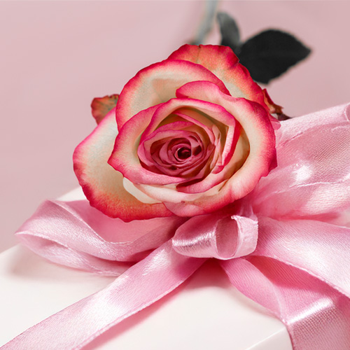 Rosen zum Geburtstag bestellen Rosen zum Geburtstag