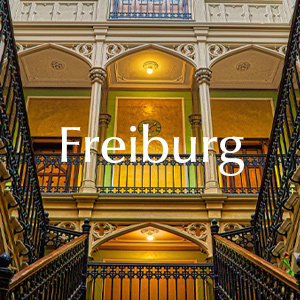 Rosenlieferung in Freiburg