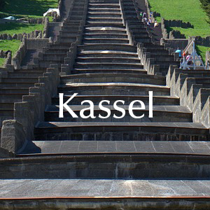 Rosenlieferung in Kassel