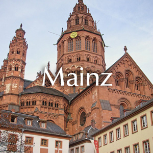 Rosenlieferung in Mainz