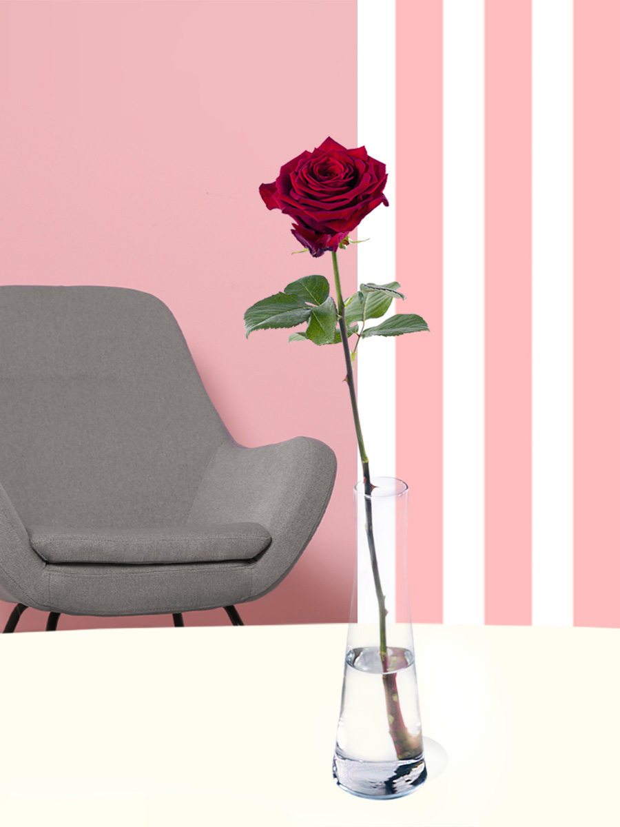 Eine Rose bestellen