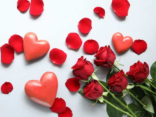 Rote Rosen kaufen Rote Rosen kaufen