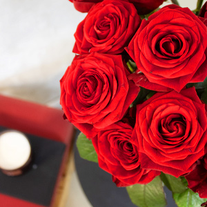 Rote Rosen - Red Naomi Rote Rosen - Red Naomi