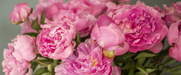 Saisonblumenstrau&szlig;