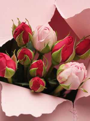 Rosen zum Single's Day Rosen zum Single's Day
