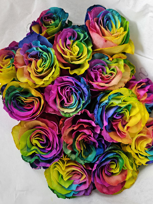 Strauß Regenbogen Rosen Regenbogen Rosenstrauß