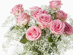 10 Rosa Rosen mit Schleierkraut