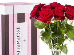 10 rote Rosen bestellen
