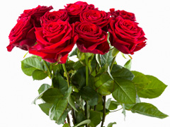10 rote Rosen bestellen