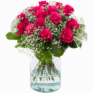 15 Leuchtend Pinke Rosen mit Schleierkraut