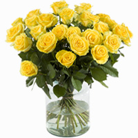 Gelbe Rosen