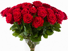 30 Rote Rosen