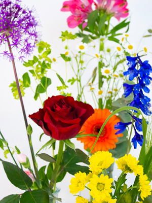 Centerpiece Set bunt Centerpiece Set bunt