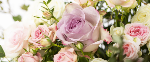 Gemischte Rosenstrauß Gemischte Rosenstrauß