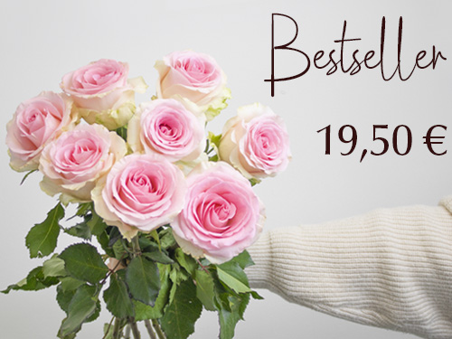 Rosa Rosen - Sweet Revival bestellen