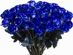 Blaue Rosen versenden