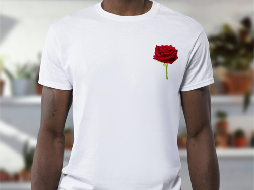 Rosen auf T-Shirts