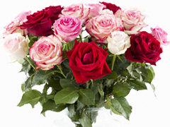 Rosen zum Muttertag Surprose.de